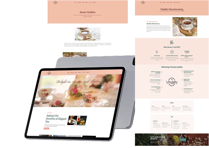 Vitablitz: Website Development